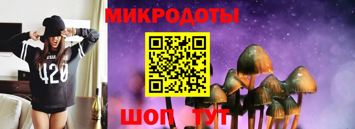 Псилоцибиновые грибы Psilocybine cubensis Гагарин